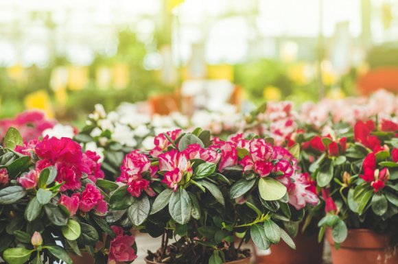 Vente de fleurs artificielles pour baptême à Sorgues