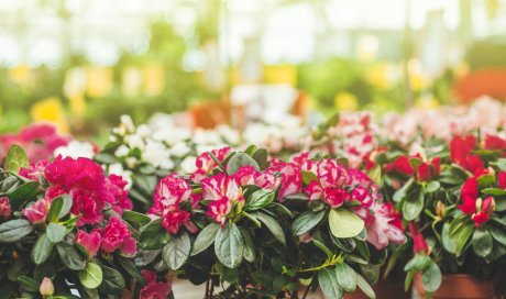 Vente de fleurs artificielles pour baptême à Sorgues